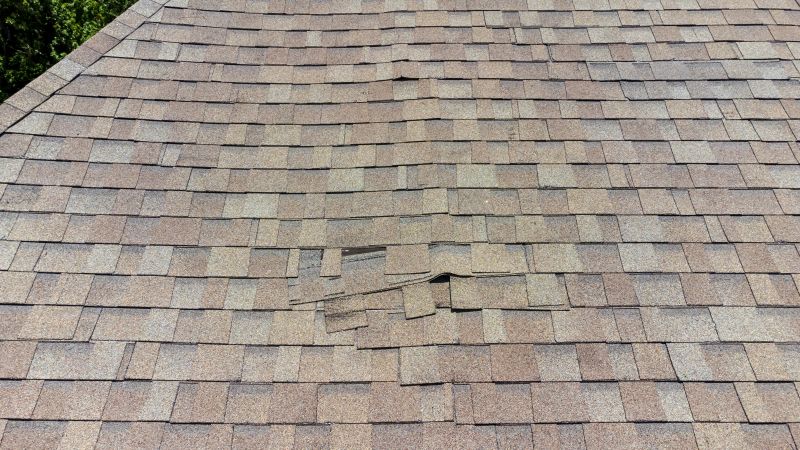 Asphalt Roof Inspection in Firestone, CO