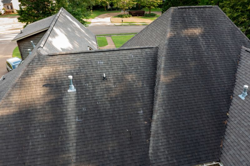 Asphalt Roof Inspection in Larimer County, CO
