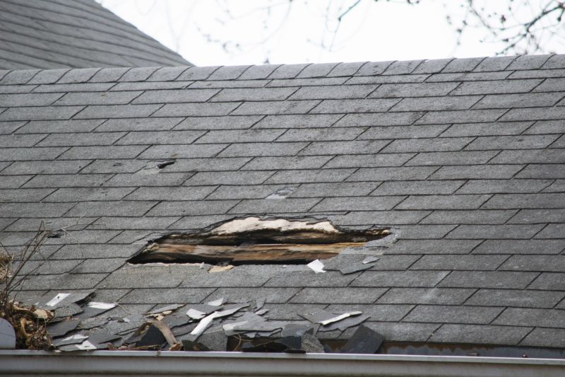 Asphalt Roof Leak Repair in Fort Collins, CO