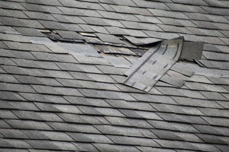Asphalt Roof Leak Repair in Loveland, CO