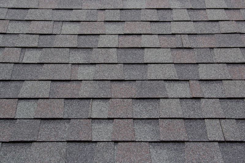 Asphalt Roofing Service in Loveland, CO