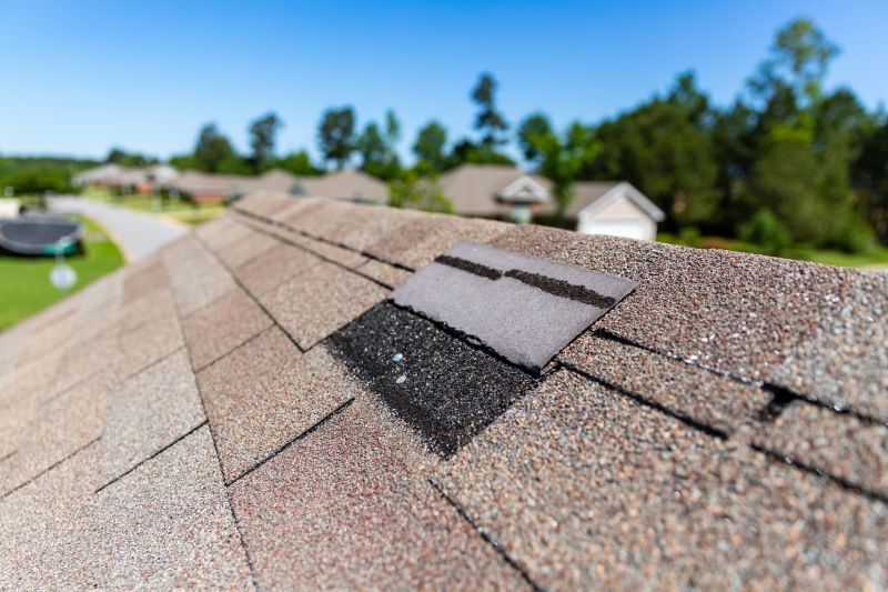 Asphalt Shingles Repair in Estes Park, CO