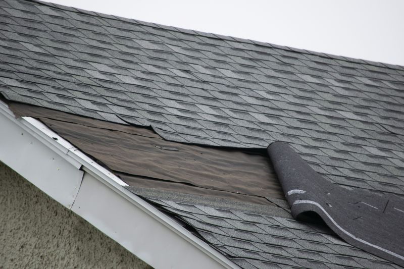 Asphalt Shingles Repair in Windsor, CO