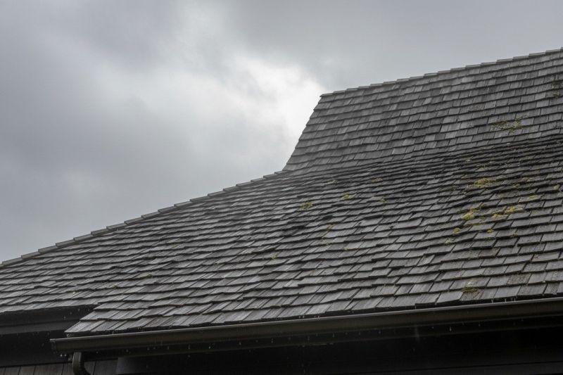 Cedar Roof Replacement in Loveland, CO