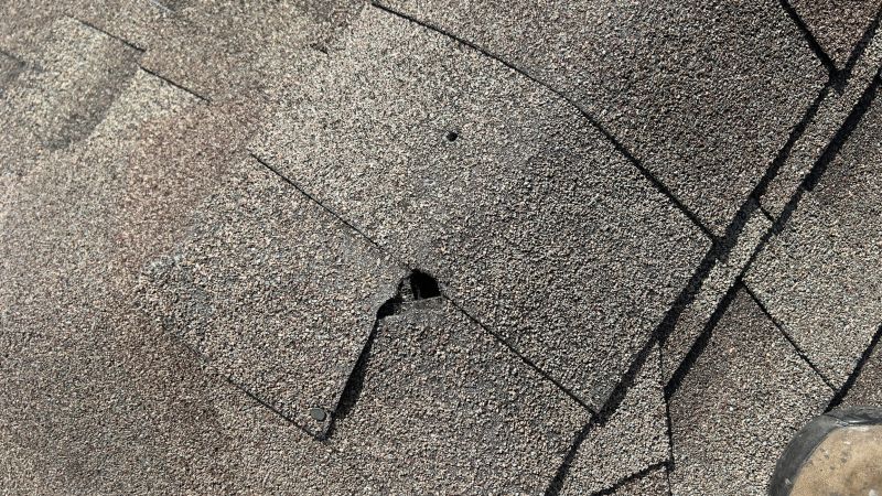 Damaged Roof Repair in Estes Park, CO