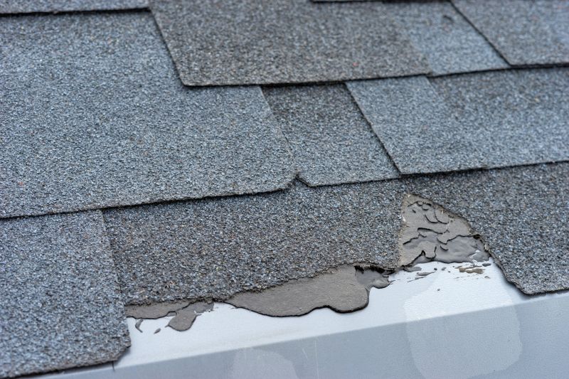 Damaged Roof Repair in Evans, CO