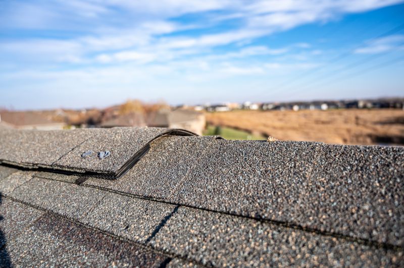 Damaged Roof Repair in Timnath, CO