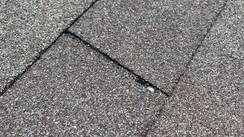 Fiberglass Shingles Repair in Loveland, CO