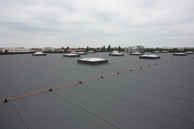 Flat Roof Replacement in Lyons, CO