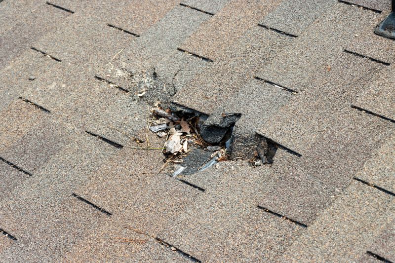 Leaky Roof Replacement in Loveland, CO