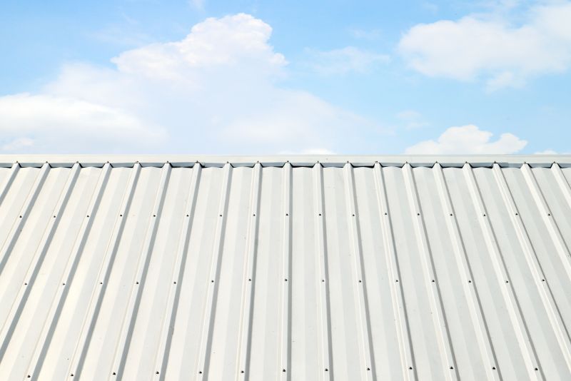 Metal Roof Coating Service in Loveland, CO