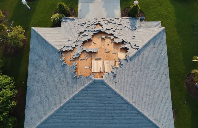 Roof Damage Repair in Timnath, CO