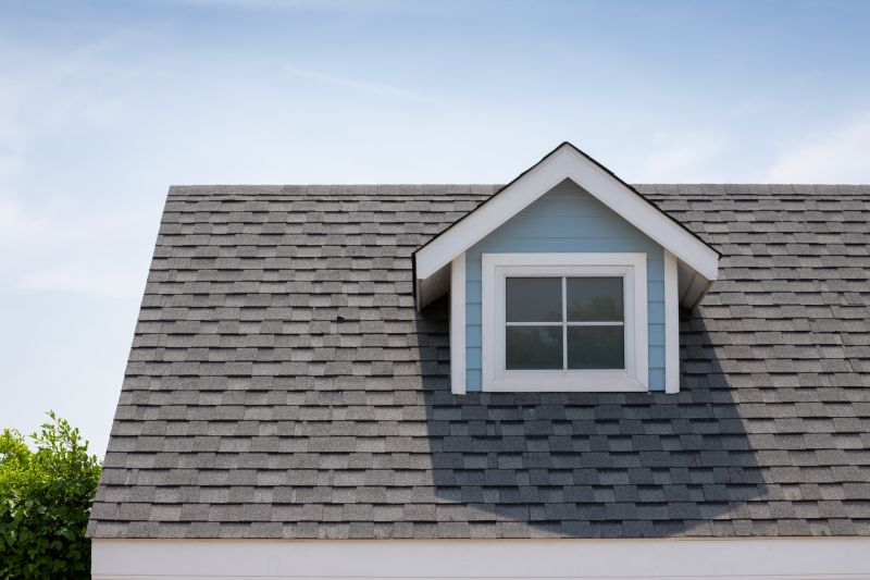 Roof Patching Service in Loveland, CO