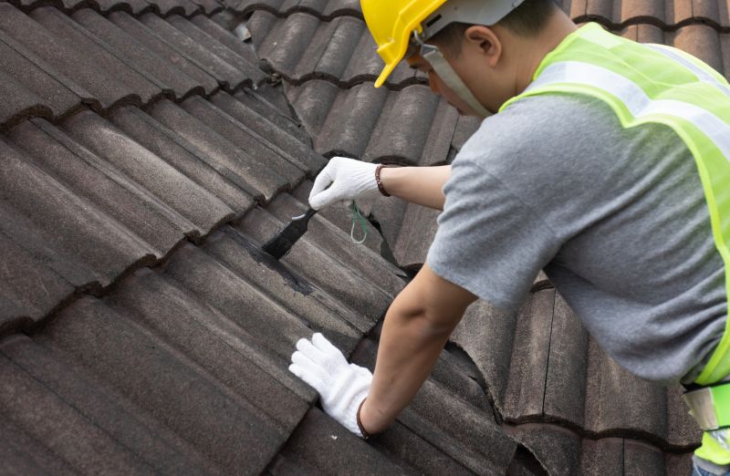Roof Patching Service in Loveland, CO