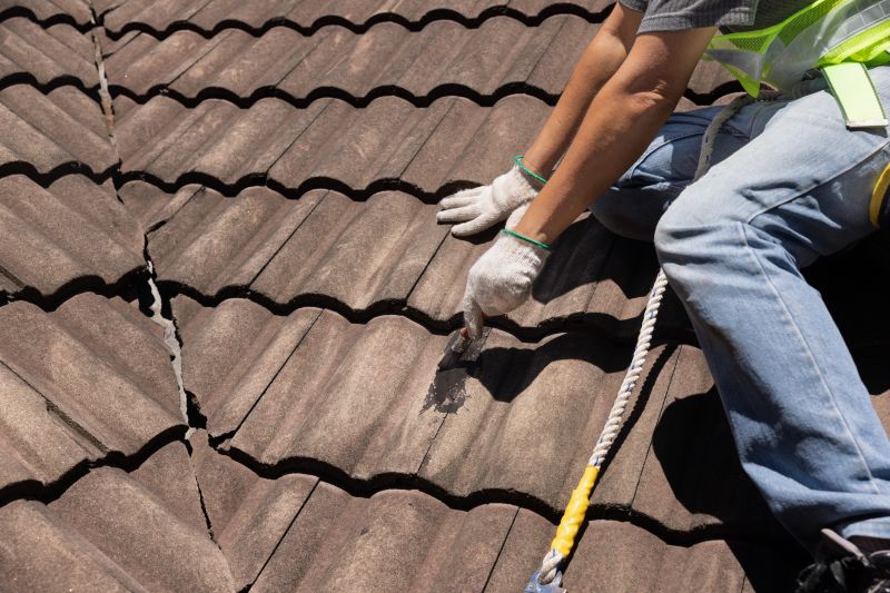 Roof Sealing in Timnath, CO