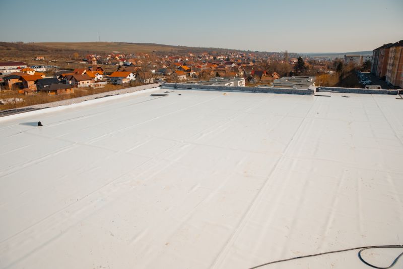 Rubber Roof Repair in Greeley, CO