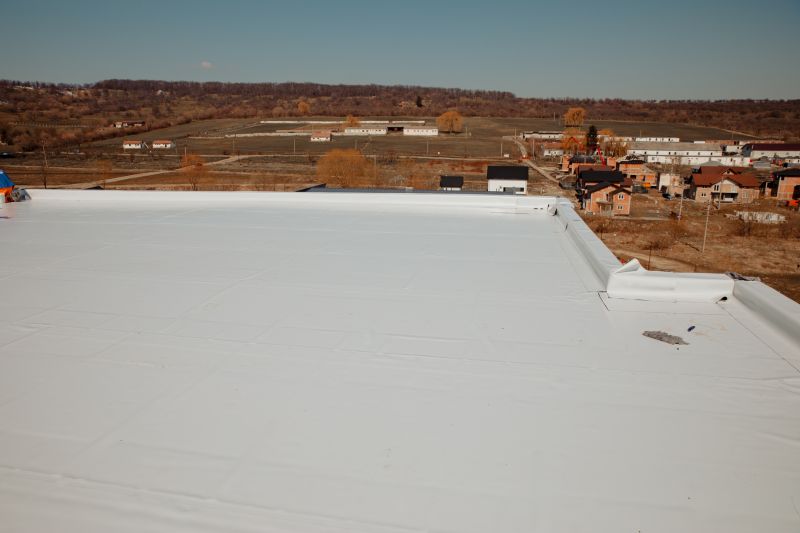 Rubber Roof Repair in Wellington, CO