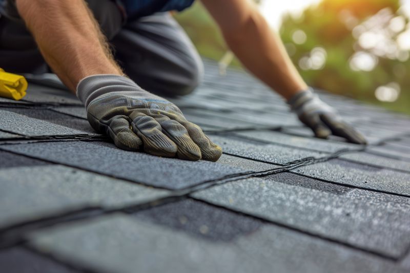 Shingles Repair in Wellington, CO