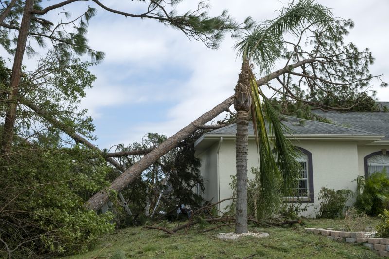 Storm Damage Roof Repair in Windsor, CO