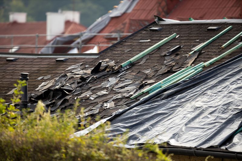 Storm Damage Roof Tarping in Loveland, CO