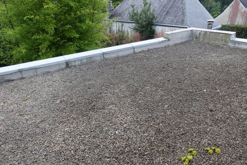 Tar And Gravel Roof Repair in Loveland, CO
